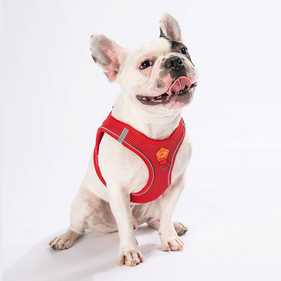 Red- Red Airmesh Dog Harness