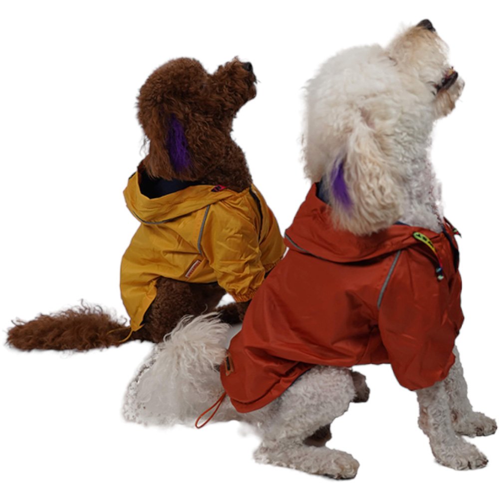 Orange Pluvia Small & Medium Breed Raincoat
