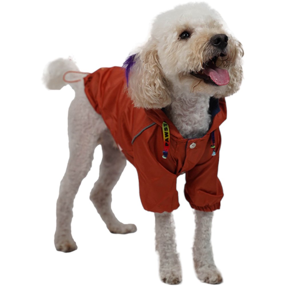 Orange Pluvia Small & Medium Breed Raincoat